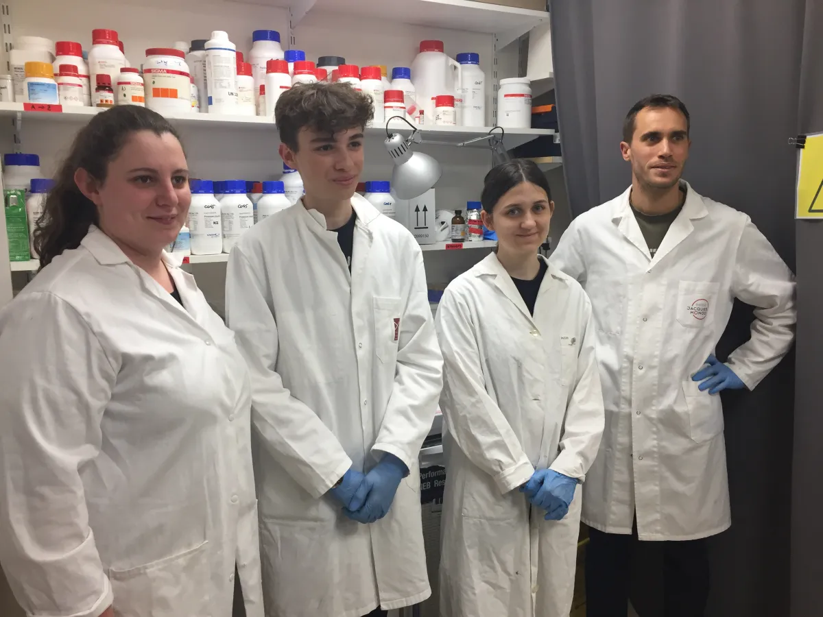 Quatre collégiens et lycéens en laboratoire