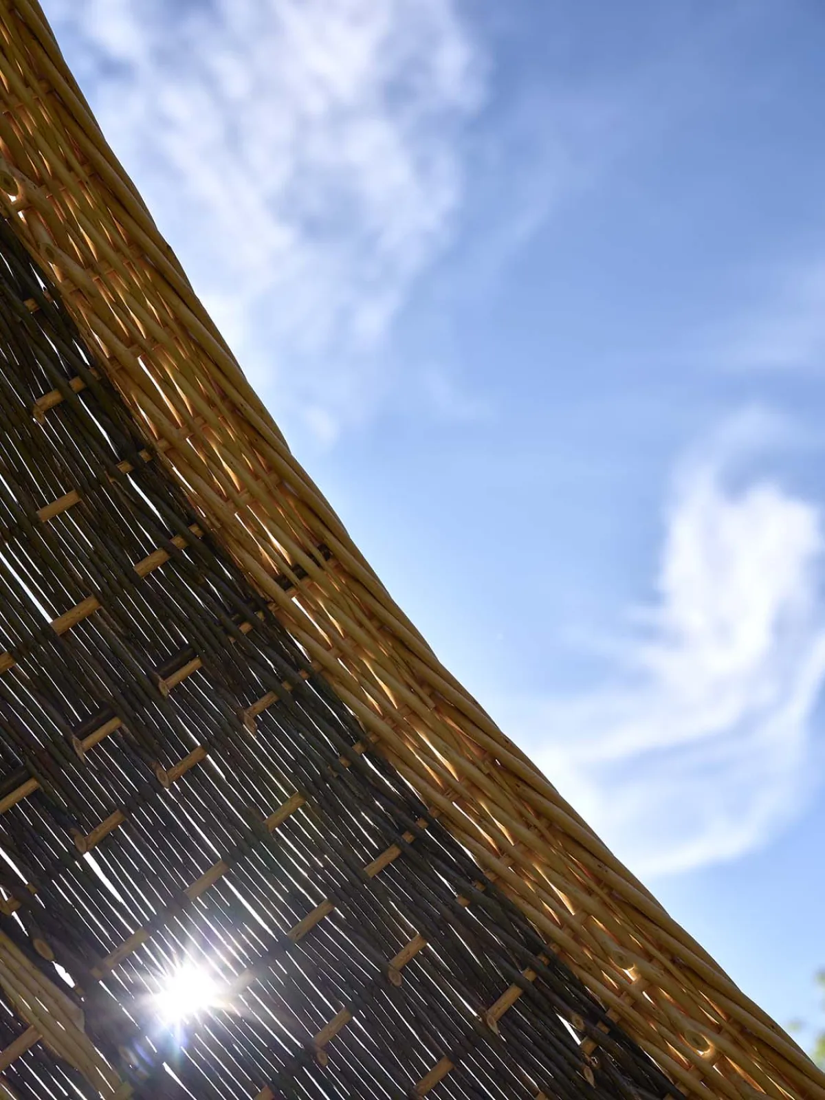 Focus sur Tresser l'ombre, la pièce primée.