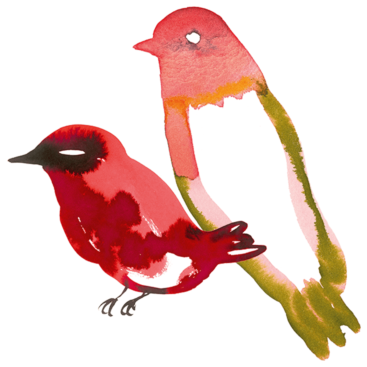 Oiseaux Chants Libres